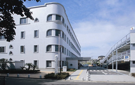 会社の決算と確定申告が済みました。
