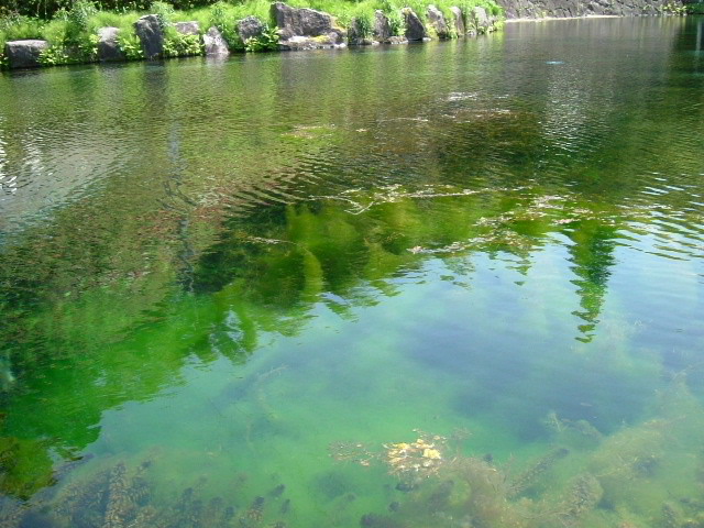 霧島山麓丸池湧水(eyeVio)