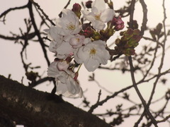 宮崎へ行ってきました～♪