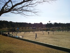 今日は、試合です＼(^o^)／