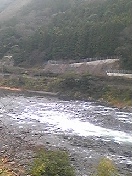 続、、、ミステリーツアー