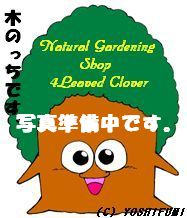 鹿屋でイベント開催!動き出しました。