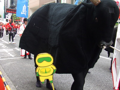 東京の渋谷でおはら祭 =キイレンダー参上=