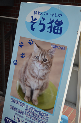 ☆はじめての猫カフェ　Part1☆