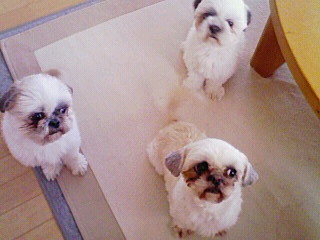 今日も楽しかった~
