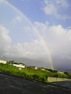 いいことあるかも~(*^^*)