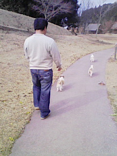 みんなでお付き合い