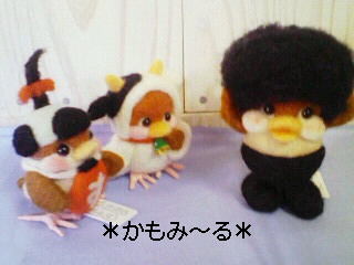 かもみ~るさんの作品入荷