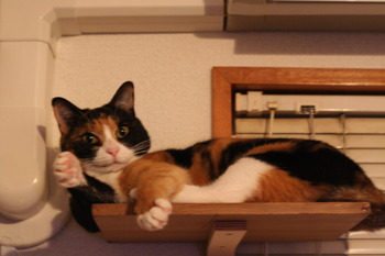 フジコのじゃんけん