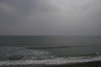 江口浜（４月１３日）その１