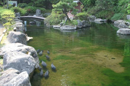 甲突池～八重山公園（５月７日）