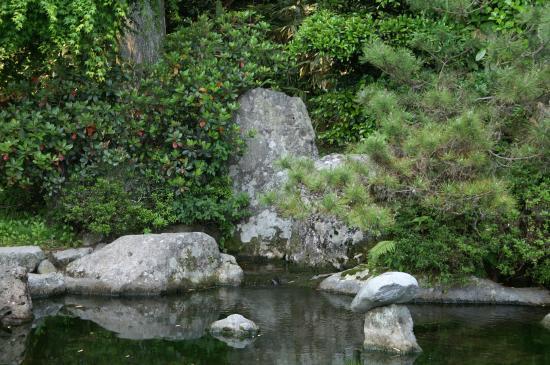 甲突池～八重山公園（５月７日）