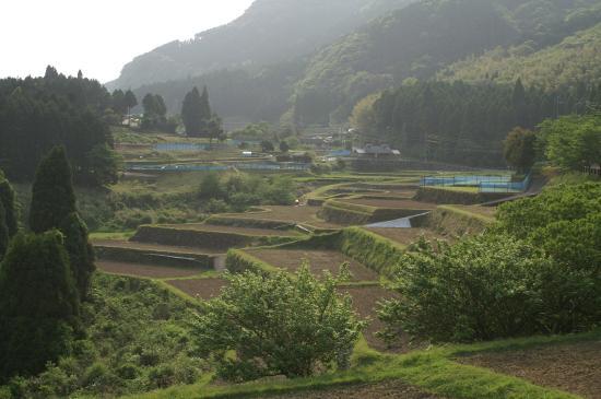 甲突池～八重山公園（５月７日）