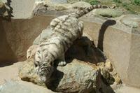 平川動物公園（３月１２日）