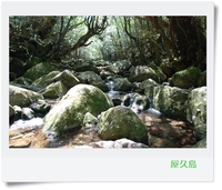 屋久島　１
