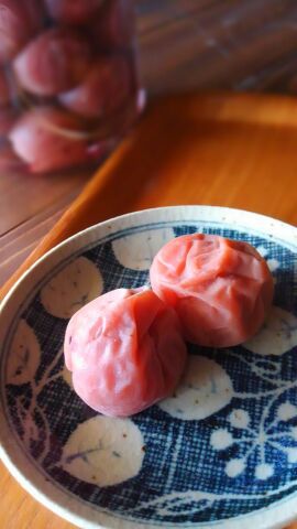 初めての梅干し 初めての梅干し