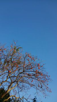 青空と氷 2014/12/19 10:02:54