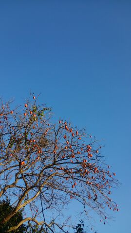 青空と氷 青空と氷