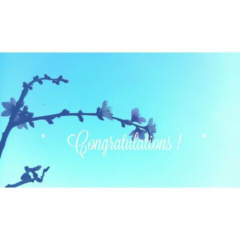 tattinglaceと青い空 tattinglaceと青い空