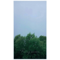 じめじめ、やってきた 2015/06/11 18:49:37