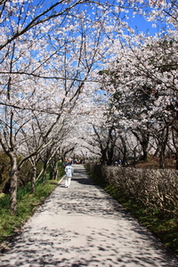 2012年04月02日