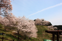2012年04月17日