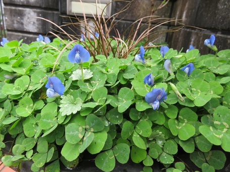 Spring has come !!!
