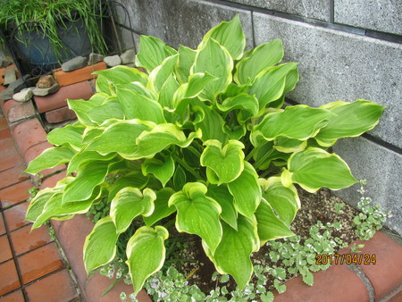 5月の予感