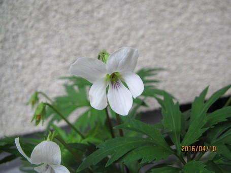 雨の中休み 雨の中休み