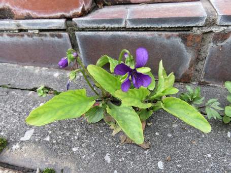Spring has come !!!