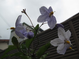 九月の晦日