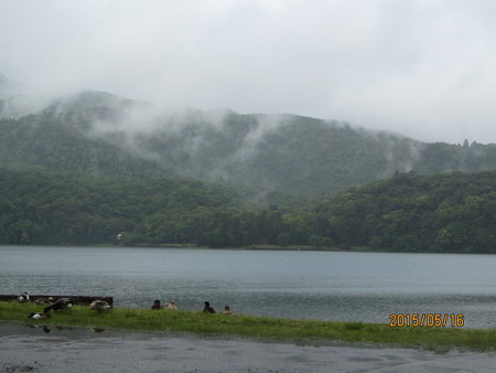 初夏の霧島路【Ⅲ】 初夏の霧島路【Ⅲ】