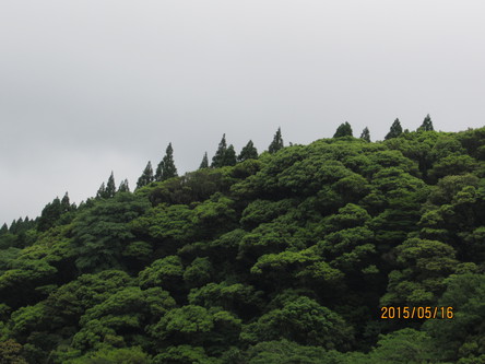 初夏の霧島路【Ⅴ】 初夏の霧島路【Ⅴ】