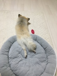 ムリすんな。 2020/10/09 16:07:32