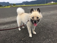 背負い込んだ荷物は、そりゃ重い。 2020/09/16 12:43:50