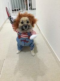 ペコペコこうべを垂れるな。 2020/10/24 13:56:23