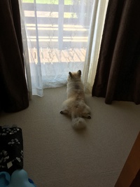 自画自賛✨(夏の特典つき) 2020/08/02 13:13:23