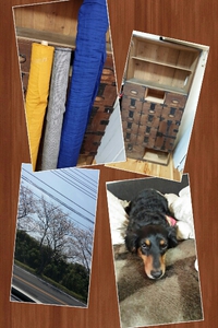 生地入荷と古いタンス！