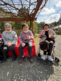 梅の花見学