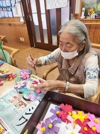コスモス