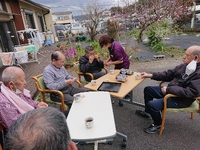 お茶会