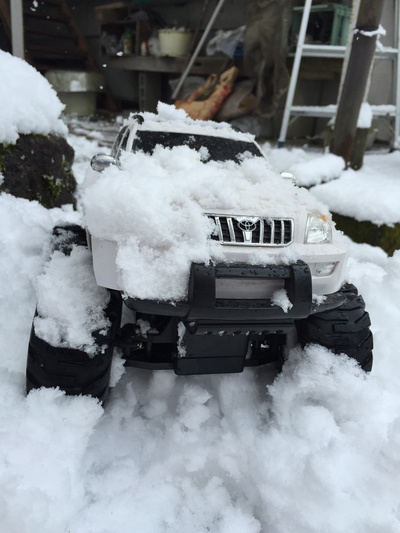 珍しい雪 珍しい雪