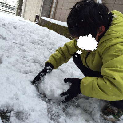 珍しい雪 珍しい雪