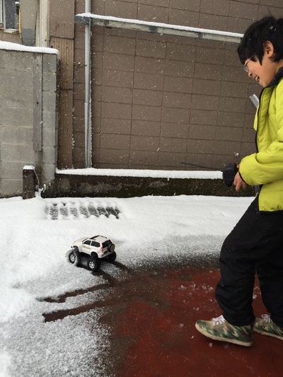 珍しい雪 珍しい雪