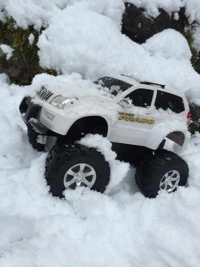 珍しい雪 珍しい雪
