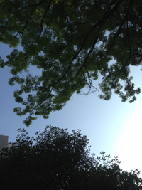 2013年08月18日