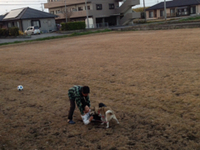 2014年02月03日