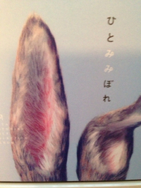 ひとみみぼれ