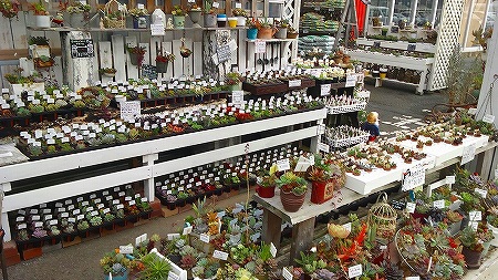出店者紹介『グリーンコア』※みなみの森Vol.7復活祭 出店者紹介『グリーンコア』※みなみの森Vol.7復活祭