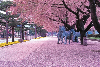 花より団子！